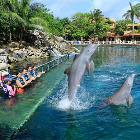Increible Estudio En Puerto Aventuras, Condominio Con Alberca # 201 Eksteriør billede